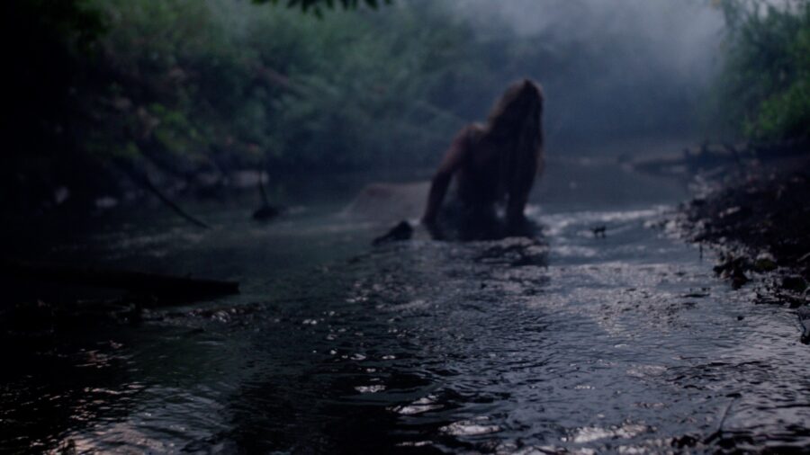 Cinematography Reel — cinematography by Umit Gulsen